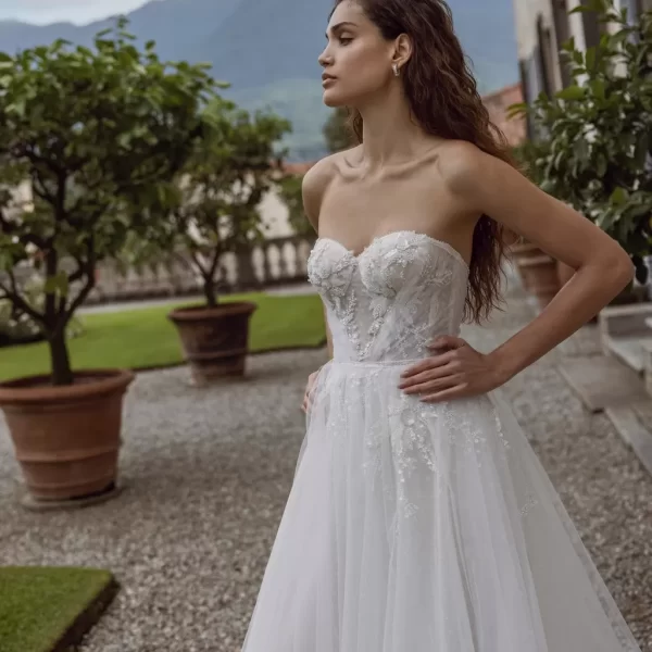 Timeless by Dominiss